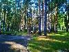 «Русский лес» санаторий - предварительное фото Территория