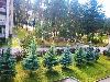 «Русский лес» санаторий - предварительное фото Территория