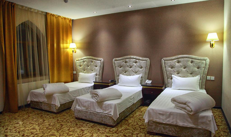 Фото отеля («Emir Han Hotel» отель) - Standard TRPL